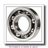 AST AST800 2530 Rolamentos simples